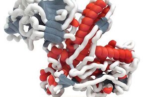 Ботулизм, сильнейший яд в природе