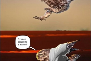 мастер