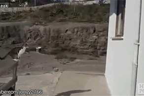 Переоценка своих возможностей!