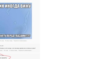 Смешные комментарии из социальных сетей