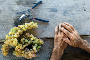 7 правил грузинского застолья