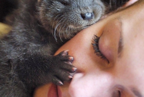 Спят усталые... зверушки!