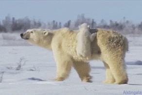 Милота