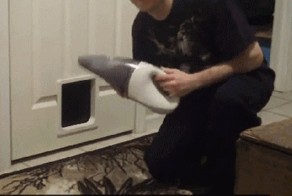 Коварный человек решил пропылесосить дома