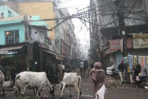 Обратная сторона Индии