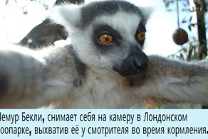 С МИРУ ПО ФОТКЕ (СОБЫТИЯ В ФОТОГРАФИЯХ)