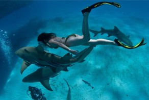 Акула атакует дайвера - FPS View