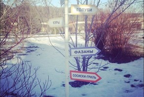 Прикольные надписи и объявления