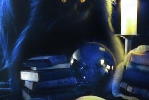 Пограничники