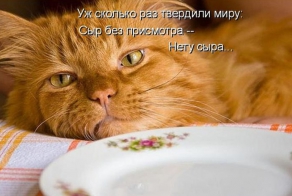 Весенний котопост