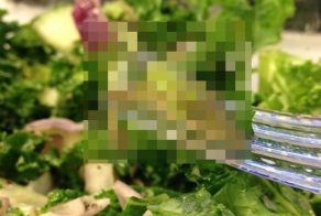  Способность хорошо прятаться в траве