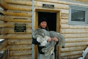 Симпатичный пушистик, пока спит