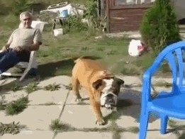 Жизнь тяжела