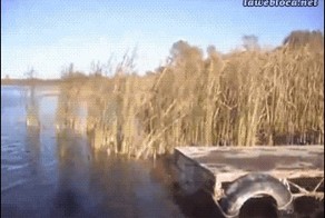 Когда купаться то и не хотелось