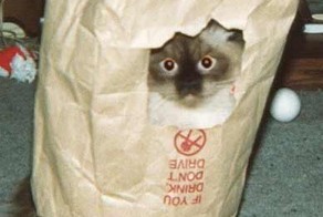 Муки выбора в стратегии прыжка