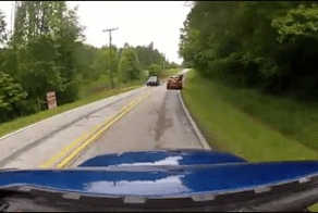 Разбавим четверг подборкой gif