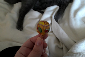 Как открыть чупа чупс???