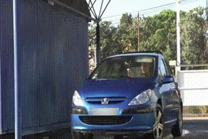 голубь 80 лвл