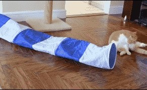 "Пушечное мясо"