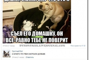 Смешные комментарии из социальных сетей