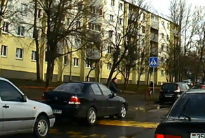 Злобный мститель