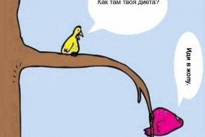 Большая пятничная подборка