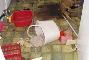 Не стоит оставлять собаку на неделю привязанной на кухне