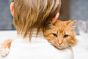 Квартал перед сносом