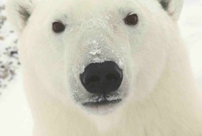 Интересные факты обо всем