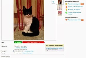 Приколы и маразм в объявлениях