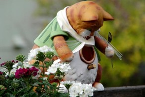 Обеды прилетели