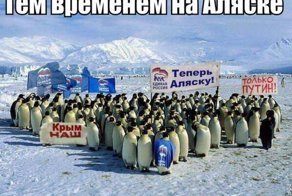 Пингвинов специально привезли из Антарктиды)))