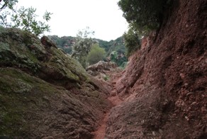 Сила природы