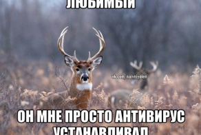 Наивный Олень