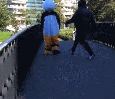 Не злите панду!