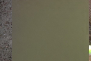 Новый механизм защиты кабачков