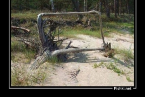 Смешной демотиватор от Men In Black за 26.03.2014 №1254877