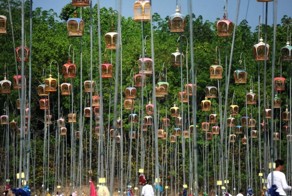 Конкурс певчих птиц в Таиланде