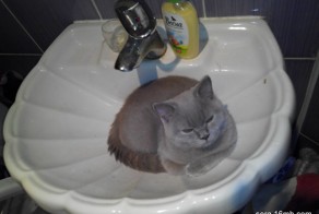 Тимофей отдыхает перед умыванием