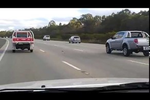 Голубь из ряда в ряд "едет" по трассе 90 км.ч