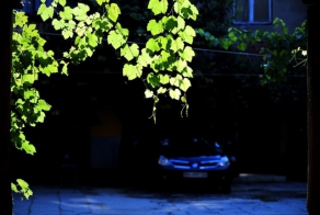 Одесские подворотни и их обитатели