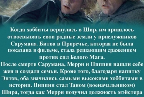 Судьбы персонажей романа "Властелин колец" 