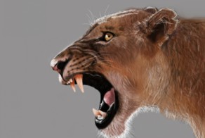 рисунок львицы в фотошопе