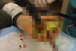 Любителям авокадо на заметку