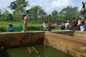 Мокрая киска спасена