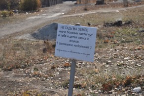 Увидел на тротуаре, возле дороги в г.Запорожье. Неожиданно.