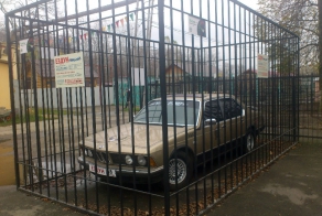 "Ездун" в зоопарке Липецка