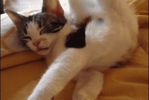 Да ему и так нормально было