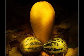 Наступила осень