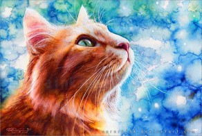 Солнечные кошки от Aurora Wienhold